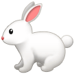 Samsung 🐇🐰 Rabbit