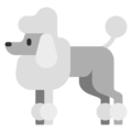 Microsoft 🐩 Poodle