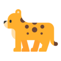 Microsoft 🐆 Cheetah