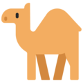 Microsoft 🐪🐫 cammello