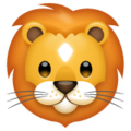 Whatsapp 🦁 león