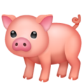 Whatsapp 🐖🐷 Pig