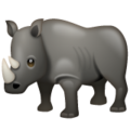 Whatsapp 🦏 Rhinoceros