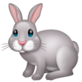 Whatsapp 🐇🐰 Bunny