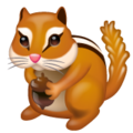 Whatsapp 🐿️ scoiattolo