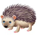 Whatsapp 🦔 Hedgehog