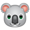 Whatsapp 🐨 Koala