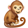 Whatsapp 🐒 Monkey