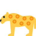 Twitter 🐆 Cheetah