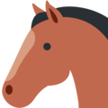 Twitter 🐴 Horse Face