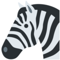 Twitter 🦓 Zebra
