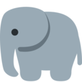 Twitter 🐘 elefante