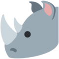 Twitter 🦏 Rhinoceros