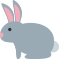Twitter 🐇🐰 Rabbit