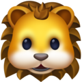 Facebook 🦁 Lion