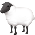 Facebook 🐑 Lamb