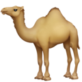Facebook 🐪🐫 Camel