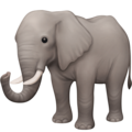 Facebook 🐘 Elephant