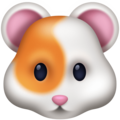 Facebook 🐹 Hamster