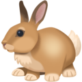 Facebook 🐇🐰 Rabbit