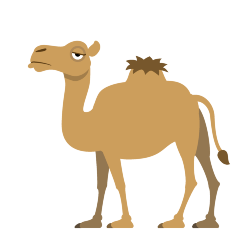 Skype 🐪🐫 Camel