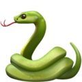 Apple 🐍 wąż