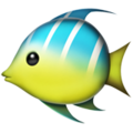 Apple 🐠 Nemo