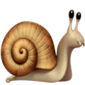 Apple 🐌 Snail