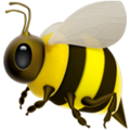 Apple 🐝 Honey Bee