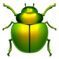 Apple 🪲 Beetle