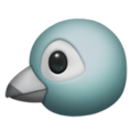 Apple 🐦 Bird