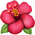 Apple 🌺 Hawaii Flower