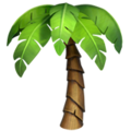 Apple 🌴 drzewo palmowe