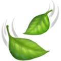 Apple 🍃🌿☘️🍀 zielony liść