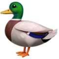 Apple 🦆 Rubber Duck