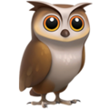 Apple 🦉 Owl