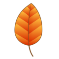 Emojidex 🍂 sonbahar yaprakları
