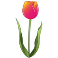 Emojidex 🌷 tulipa
