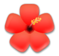 LG🌺 Hawaii Flower