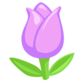 Messenger🌷 tulipán