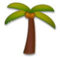 Messenger🌴 drzewo palmowe
