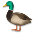 LG🦆 Rubber Duck