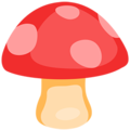 Messenger🍄 Mushroom