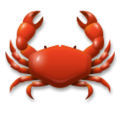 LG🦀 crabe