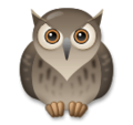 LG🦉 Owl