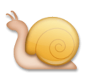 LG🐌 Snail