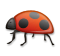 LG🐞 Ladybug