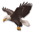 LG🦅 Eagle