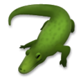 LG🐊 Alligator