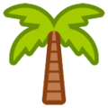 LG🌴 drzewo palmowe